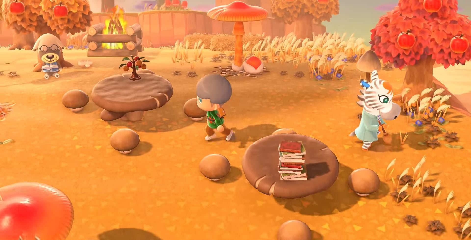 Animal Crossing seasons, northern and southern hemispheres in New